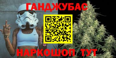 дмт Кингисепп