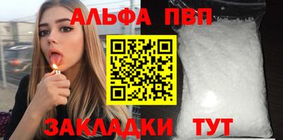 дмт Кингисепп