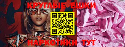 дмт Кингисепп
