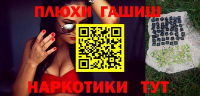 дмт Кингисепп